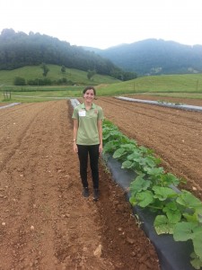 Cover photo for 2014 Field Day at the Mountain Research Station