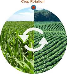 Advantages of Crop Rotation | North Carolina Cooperative Extension
