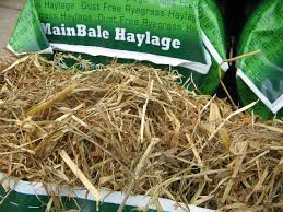 Some Guidelines To Remember When Feeding Haylage | North Carolina Cooperative Extension