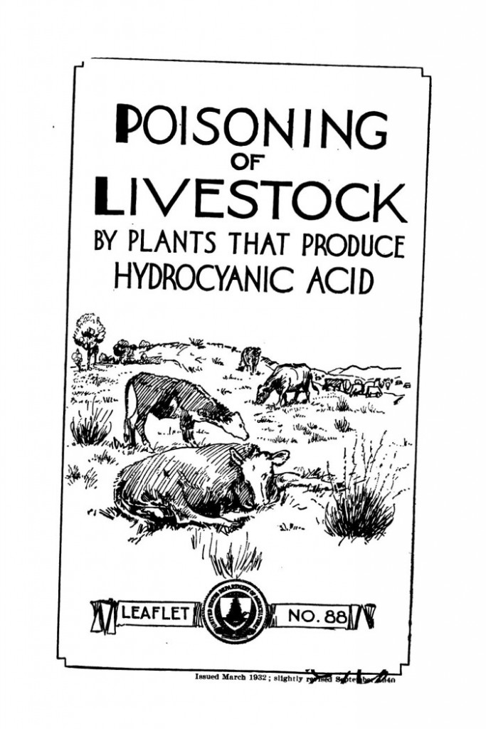 Tips for Preventing Prussic Acid and Nitrate Poisoning in Cattle