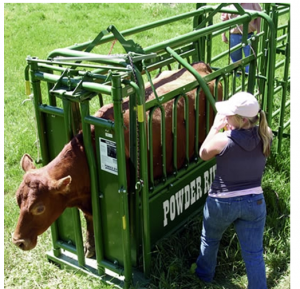 squeeze chute