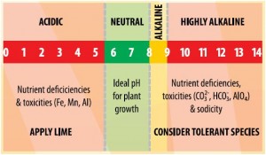 Cover photo for Wilkes County Soils Usually Benefit From the Addition of Lime