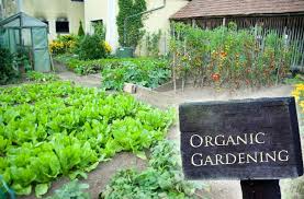Cover photo for Pesticides Approved for Organic Production That Every Gardener Might Like to Try