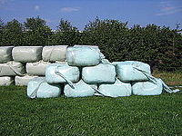 Cover photo for Tips for Making the Most of Silage