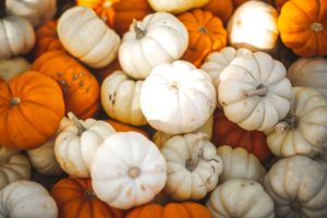 pile of miniature pumpkins