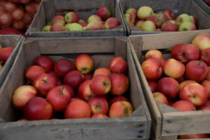 apples in crates