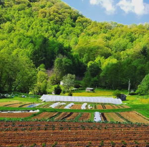 Cover photo for Developed Market Garden in Yancey County Ready for Experienced Operator