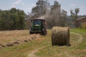 tractor in hay field