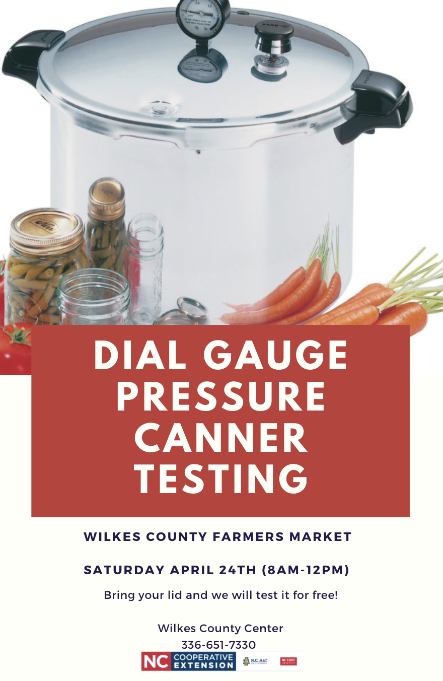 Testing dial pressure canner gauges