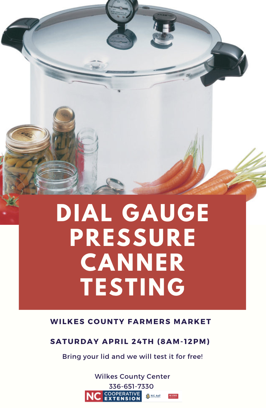 Pressure Canner Gauge Testing