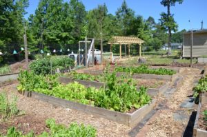 Fairview Community Garden