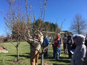 Cover photo for Brushy Mountain Tree Fruit Meeting Scheduled for March 4, 2021