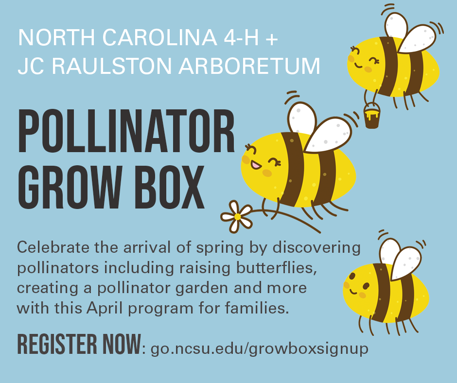 pollinator grow box