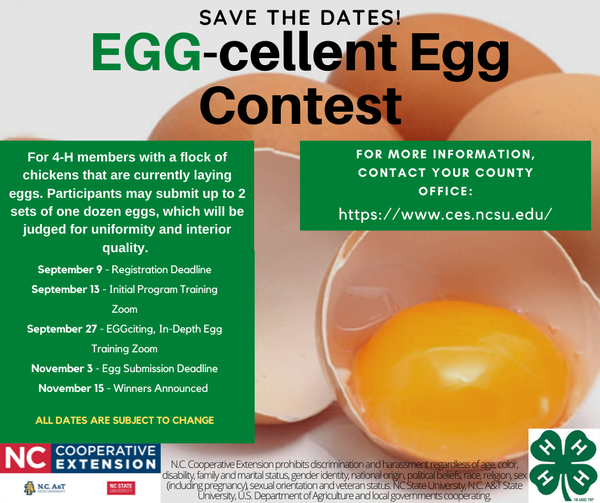 egg contest 4-H