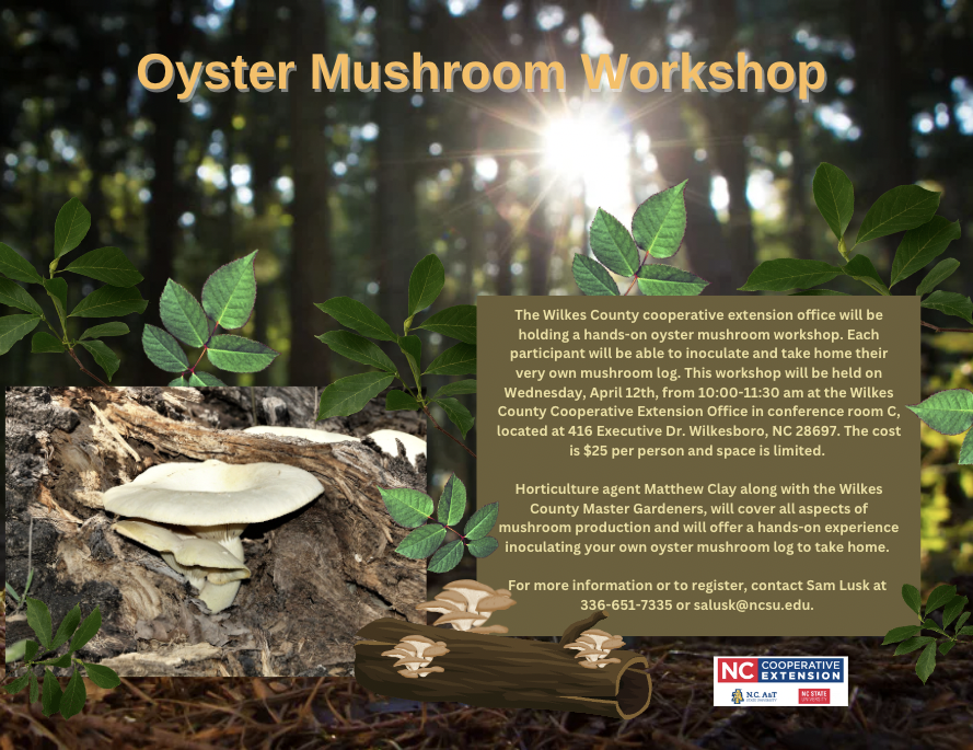 Oyster Mushroom Workshop