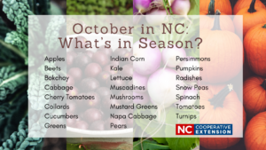 Cover photo for October in NC: What's in Season?