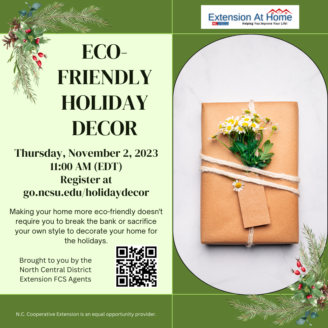 Eco- Friendly Holiday Decor Flyer