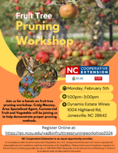 Fruit Tree Pruning Workshop
