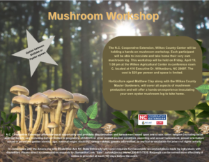 mushroom workshop