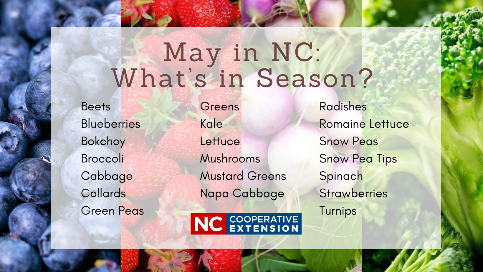 List of fruits and vegetables in season in NC in the month of May. Beets Greens Radishes Blueberries Kale Romaine Lettuce Bokchoy Lettuce Snow Peas Broccoli Mushrooms Snow Pea Tips Cabbage Mustard Greens Spinach Collards Napa Cabbage Strawberries Green Peas Turnips
