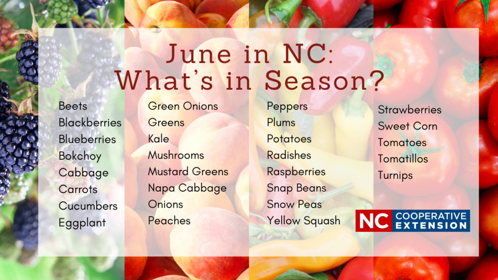 June in NC: What's in Season? Beets Blackberries Blueberries Bokchoy Cabbage Carrots Cucumbers Eggplant Green Onions Greens Kale Mushrooms Mustard Greens Napa Cabbage Onions Peaches Peppers Plums Potatoes Radishes Raspberries Snap Beans Snow Peas Yellow Squash Strawberries Sweet Corn Tomatoes Tomatillos Turnips