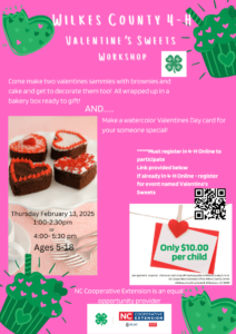 Cover photo for Wilkes County 4-H Valentine's Sweet Treats