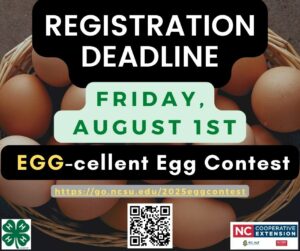 flyer for egg contest