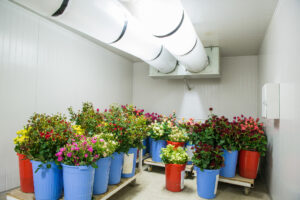 Cover photo for Cut Flower Post Harvest Workshop