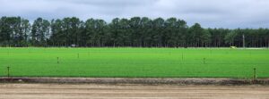 Cover photo for Landowner Forestry Workshop
