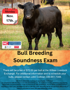 bull breeding soundness exam
